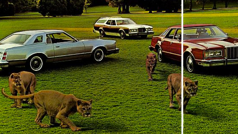 Illustration for article titled How To Destroy A $200 Mercury Cougar, Part II